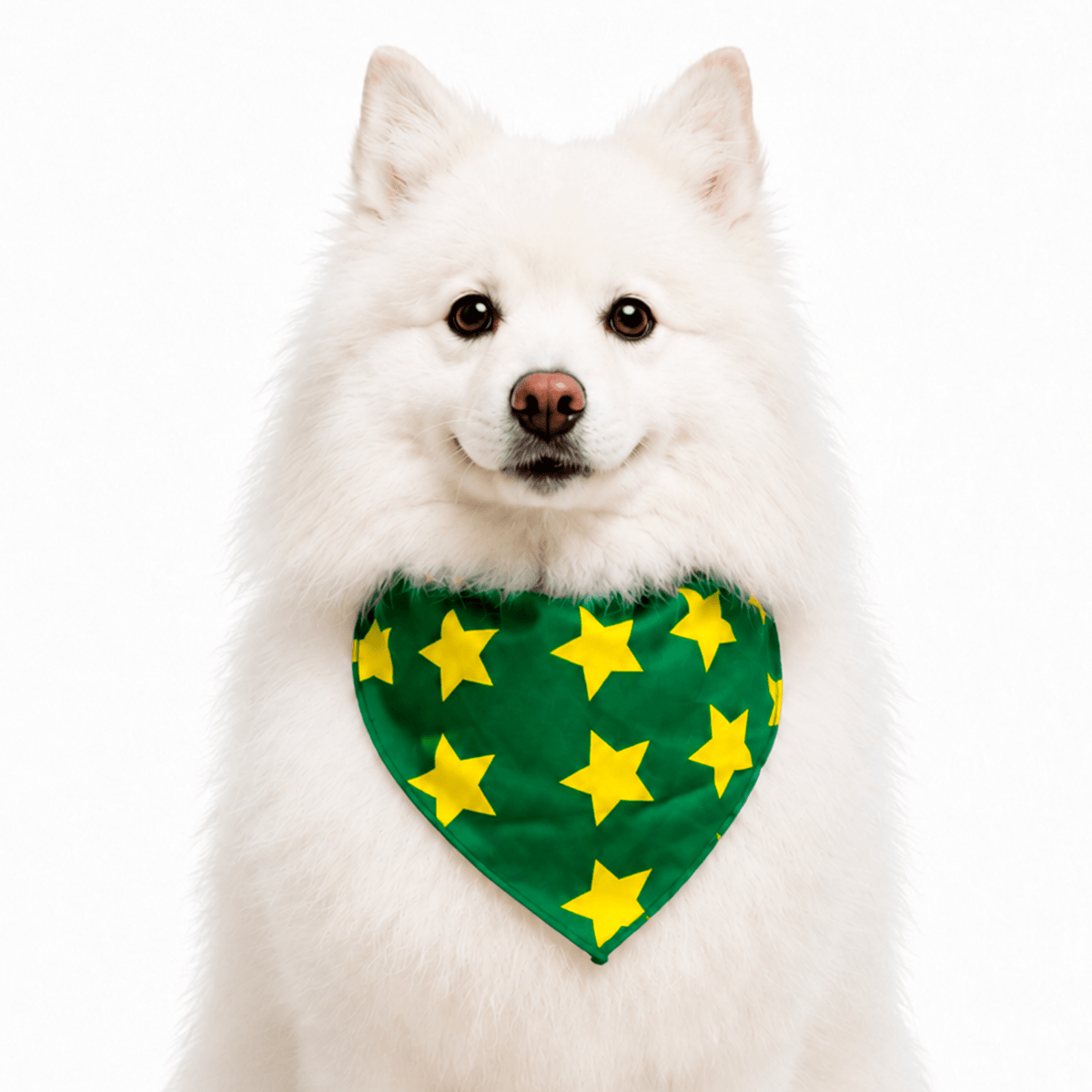 Bandana Brasil Pet