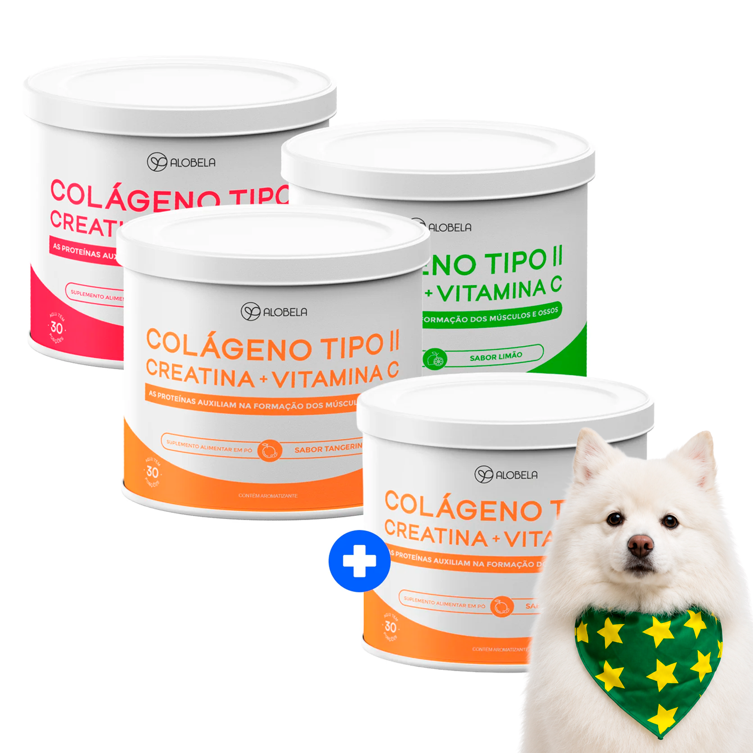 Creatina em pó